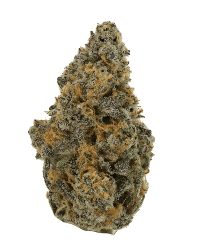 Demecan Core JM7 28/1
Jelly Mints